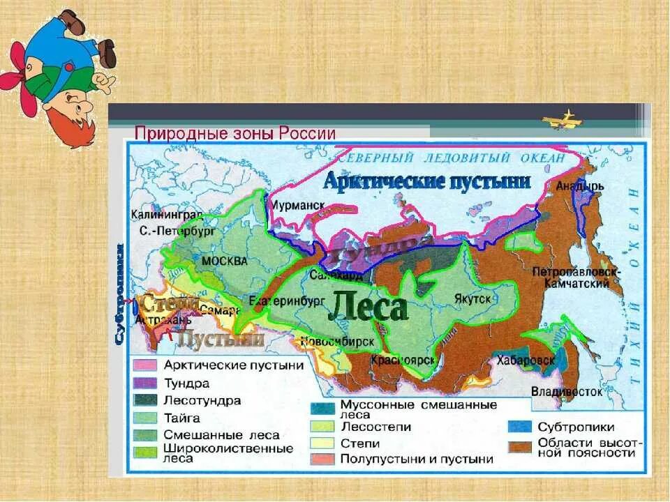 Штриховкой обозначьте территорию распространения смешанных лесов подпишите