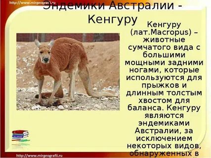 Сообщение об эндемиках австралии