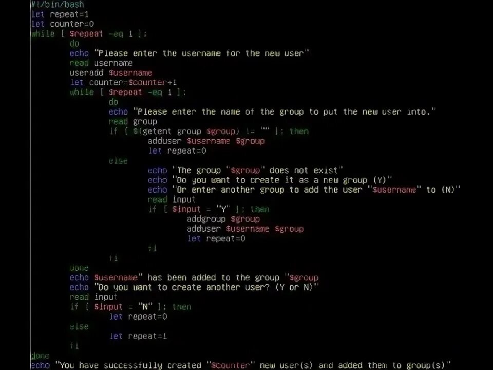 Bin bash script. Bin bash script