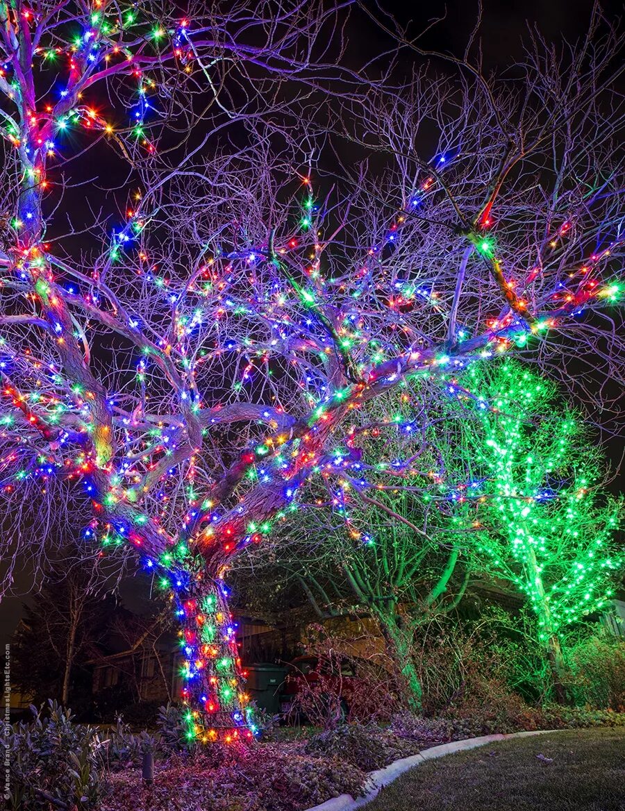 String tree