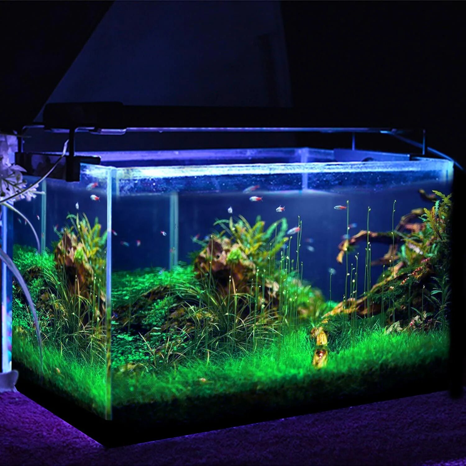 Нужен ли рыбкам свет в аквариуме ночью. Подсветка для аквариума. Аквариум п. Красивая подсветка в аквариум. Светодиодная подсветка для аквариума.