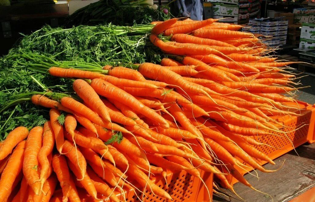 Морковный спас