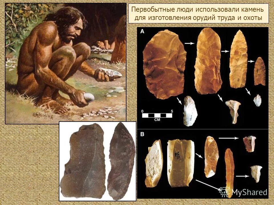 орудия древних людей. изготавливал примитивные орудия труда. орудия труда древнего человека. протоантропы орудия труда. орудия труда первобытного человека.