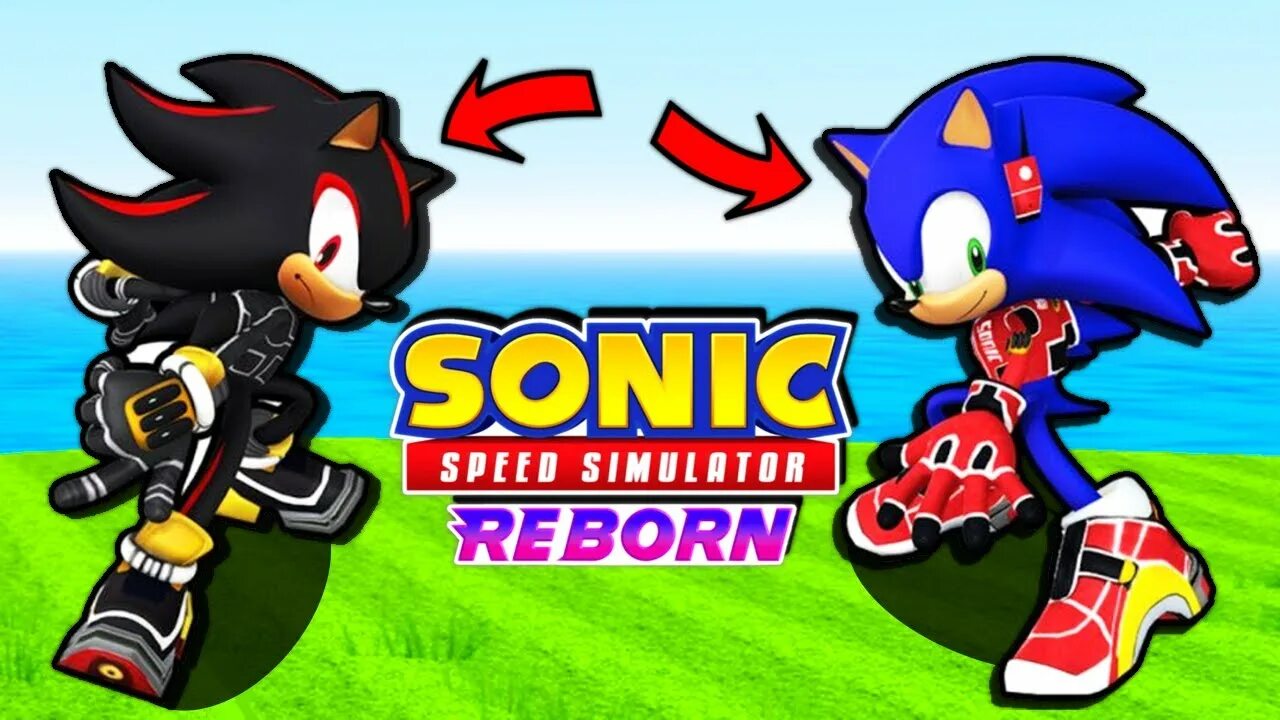 Classic sonic simulator. Соник. Соник и Шедоу. Скорость Шедоу. Sonic Speed.