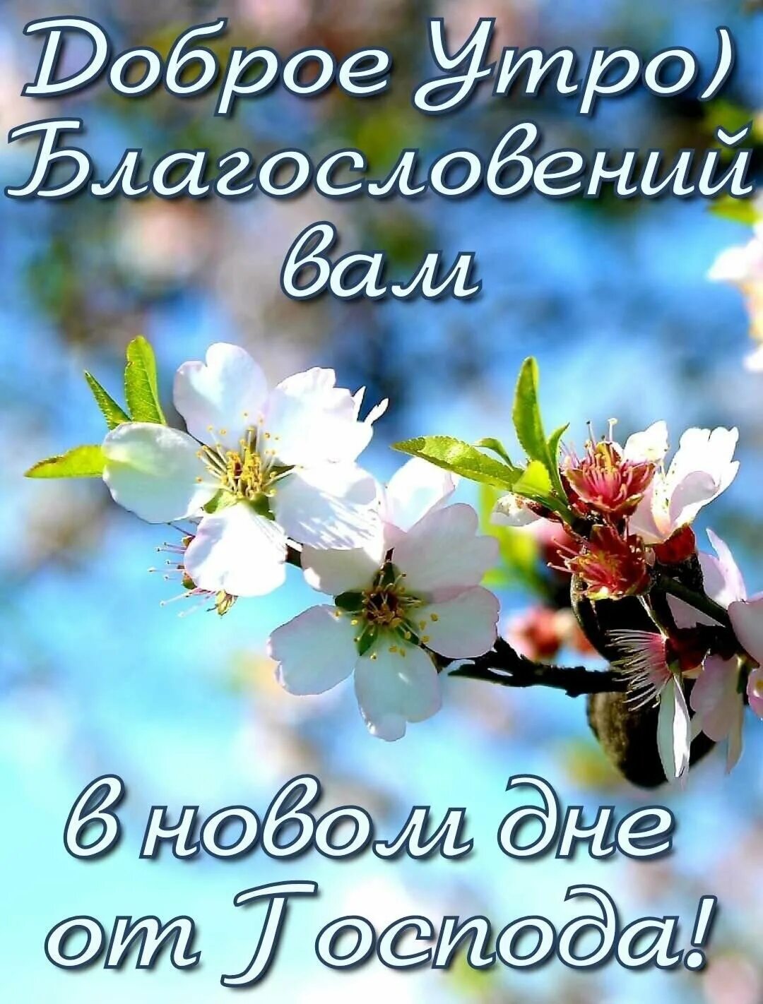 Доброго дня и хорошего настроения божьего благословения. Христианские пожелания с добрым утром. христианские открытки с добрым утром. христианские пожелания доброго утра. доброе утро божьих благословений.