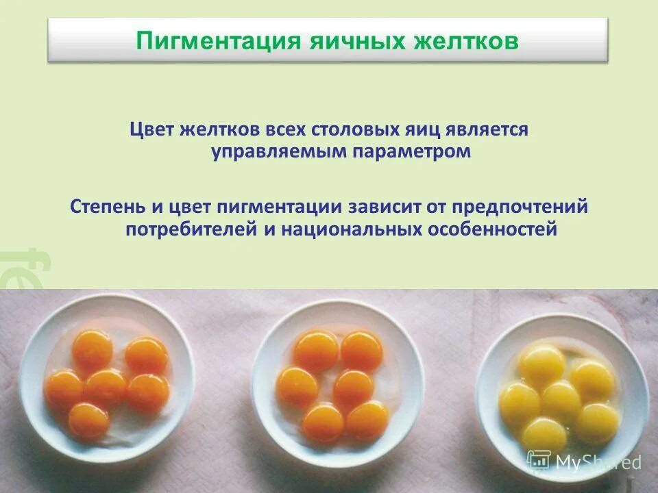 Почему желтки яиц светлые