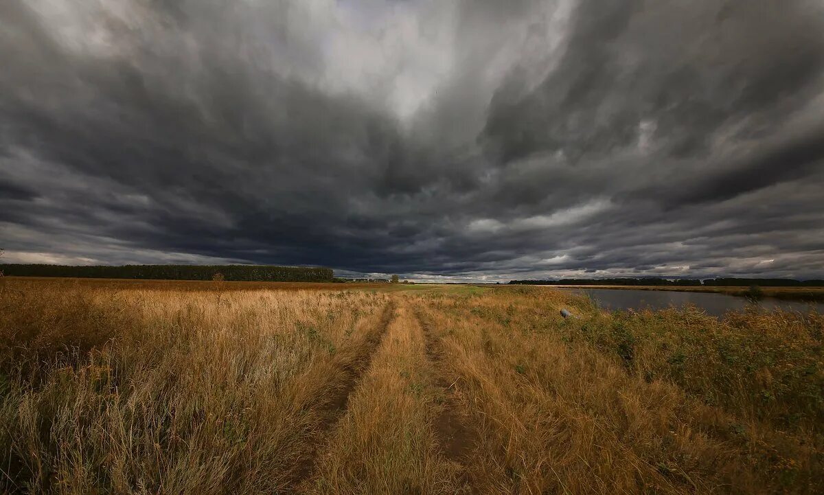 Пасмурное небо. Осеннее небо. Пейзаж пасмурный день. Пейзаж пасмурный день. Пасмурный день антоним.