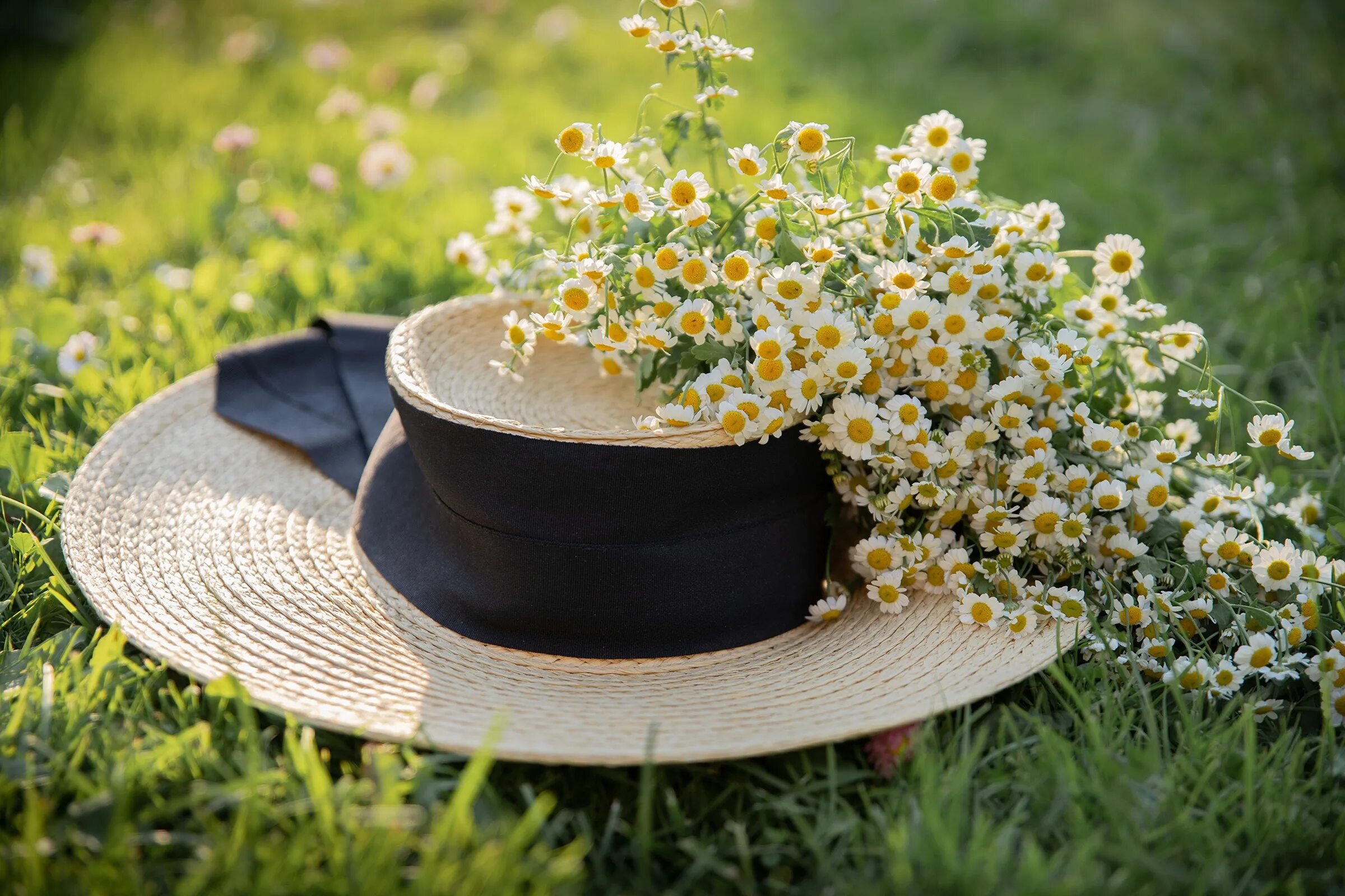 Шляпка цветок. Летние шляпки с цветами. Шляпа с цветами. Шляпка на траве.
