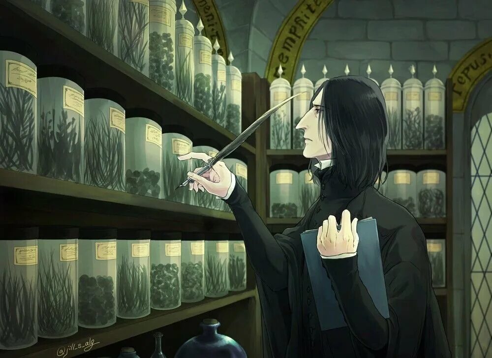 книжный северус снейп арт. северус снейп книжный. северус снегг книжный.