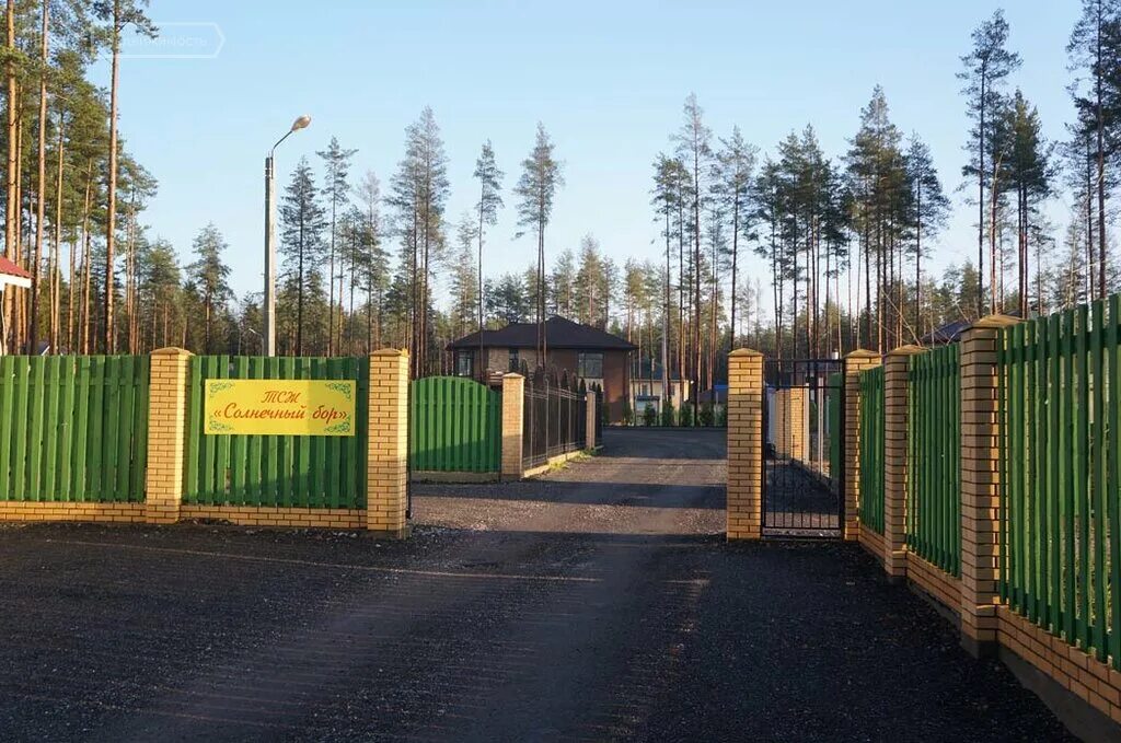 коттеджный поселок солнечный бор санкт петербург. поселок солнечный бор. поселок солнечный бор. сосновый бор богородский район. солнечный бор всеволожск.