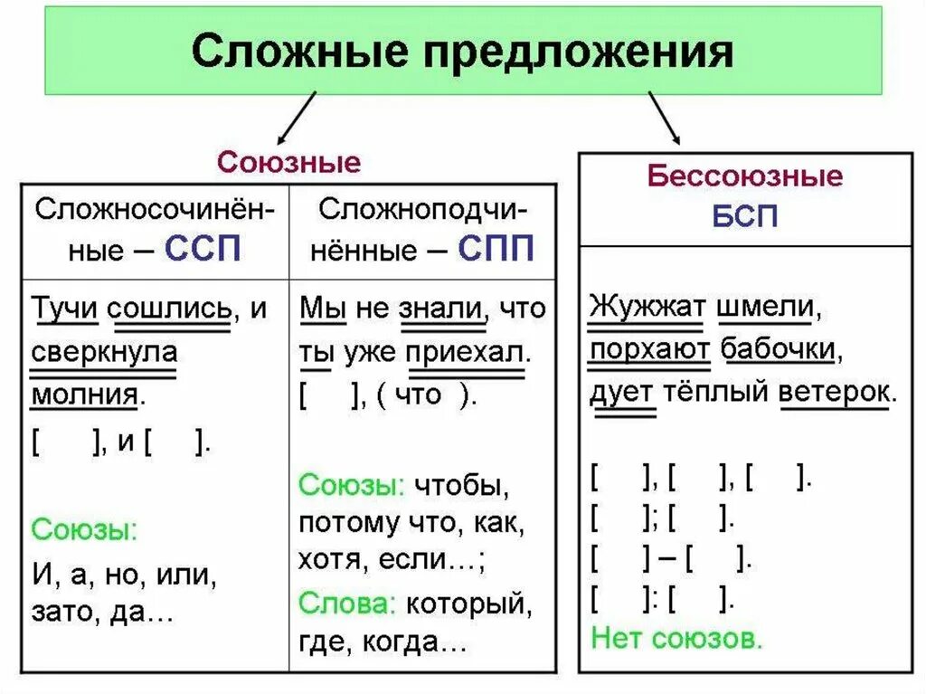 Сложное союзное предложение бывает. Сложные предложения в русском языке примеры. Таблица сложное предложение 5 класс. Виды сложных предложений схема с примерами. Типы сложных предложений в русском языке.