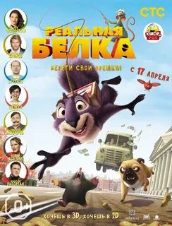 Белка 2013