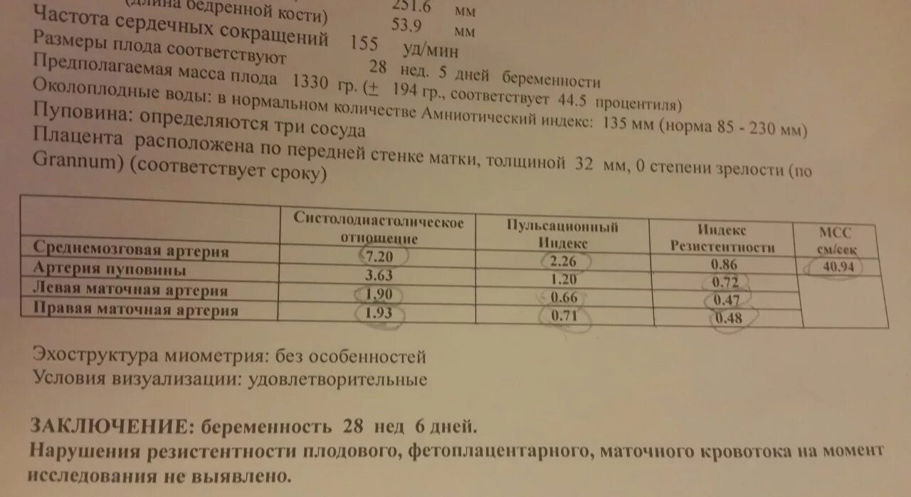 Сма нормы. Показатели нормы допплерометрии в 36 недель. Допплерометрия средней мозговой артерии плода. Допплерометрия фетоплацентарного кровотока норма. УЗДГ артерии пуповины норма.