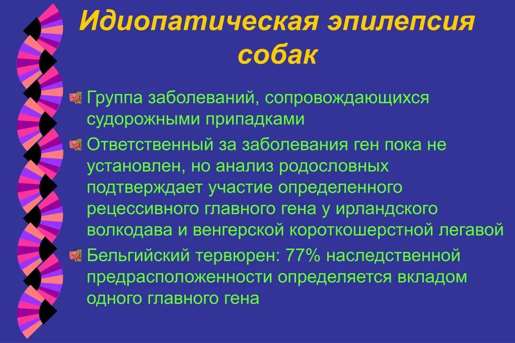 Собака после эпилепсии. Эпилепсия у собак симптомы. Эпилептический припадок у собаки. Лекарство от приступов эпилепсии у собак. Препараты от эпилепсии для собак.