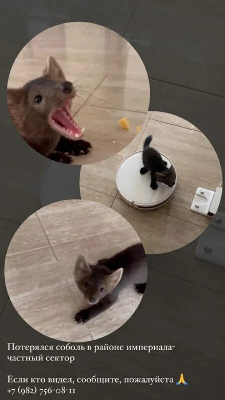 Как можно назвать благотворительный проект. Акция дари добро. Дари добро. Дари добро ульяновск. Дари добро киров.