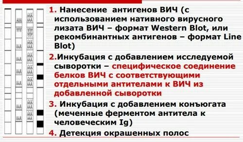 Ошибочный вич. Иммуноблот на ВИЧ анализ. Иммунный блоттинг на ВИЧ. Иммуноблот может быть ошибочным на ВИЧ. Ошибки иммуноблота на ВИЧ.