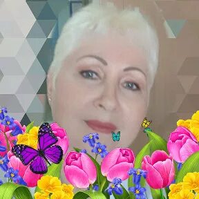 Скрипкина волгоград