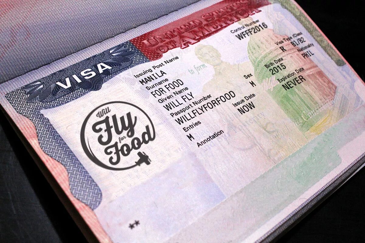 Американская виза. Виза в США. Электронная американская виза. Visa USA.
