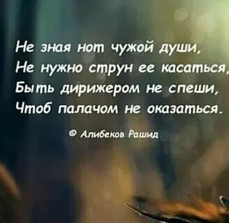 Не зная струн чужой души