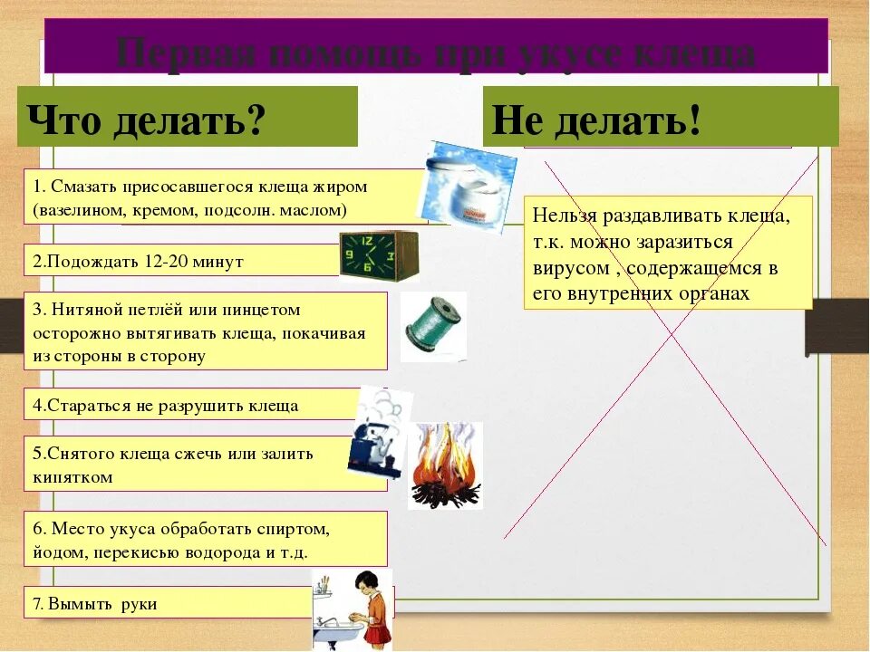 Помощь человеку при укусе клеща. Оказание 1 помощи при укусе клеща. Оказание ПМП при укусах клещей. Первая помощь при укусе клеща ОБЖ 6 класс. Первая помощь при укусе клеща ОБЖ 8 класс.