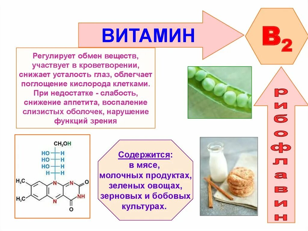 Микроэлемент необходимый для функционирования витамина в12. Нормы содержания со2. Факторы влияющие на всасывание. Юзабилити веб сайта. Факторы влияющие на всасывание лекарственных средств.