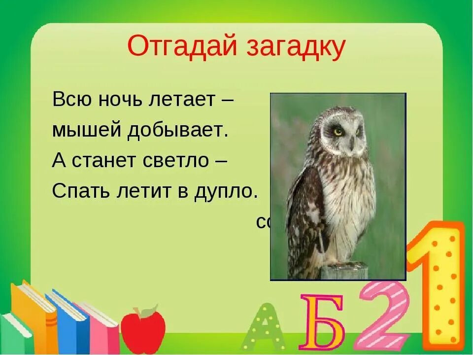 Сова загадка для детей