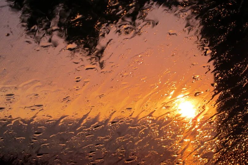 Дождь и солнце. Дождь на закате. Ливень и солнце. Дождь на рассвете. Солнце без дождя