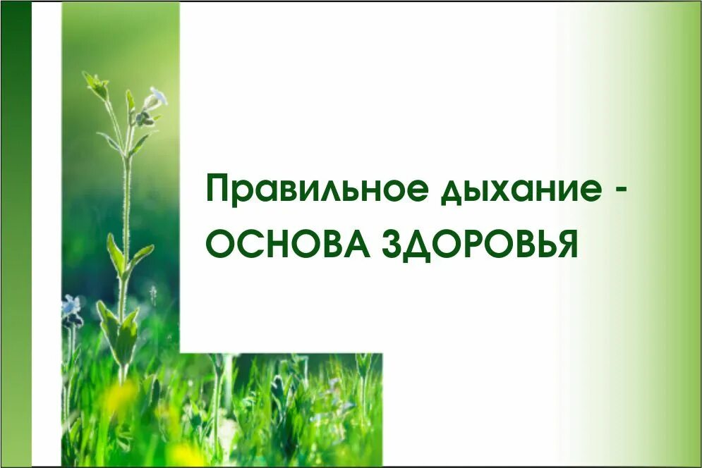 Правильным дыханием является. Правильное дыхание. Правильное дыхание основа жизни здоровья и долголетия. Основы правильного дыхания. Дыхание залог здоровья.