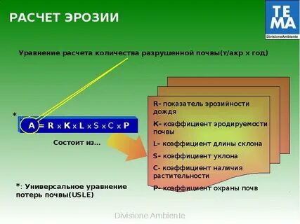 Виды эрозии