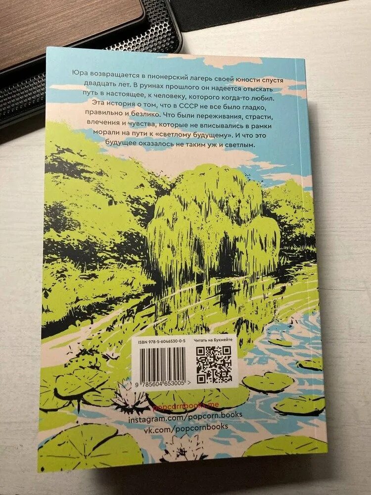 Краткое содержание книги лето в галстуке. Лето в Пионерском галстуке книга. Лето в Пионерском лагере книга. Лето в Пионерском галстуке книга обложка. Книга про пионера лето в.