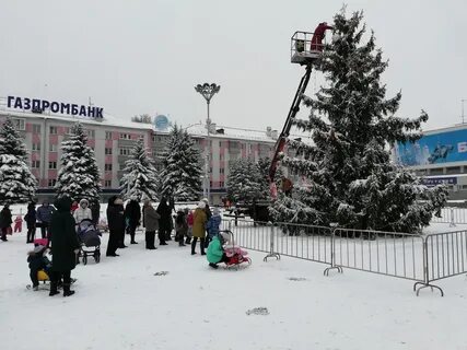 Ели брянск