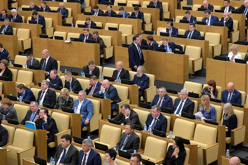 В гд внесли проект