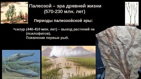 Назовите самую древнюю эру