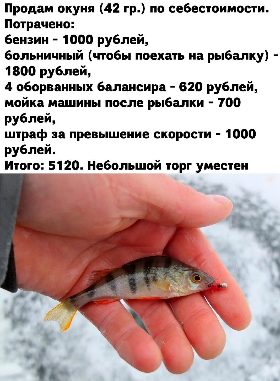 Продаем окуней