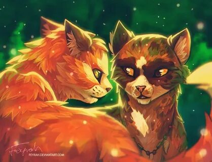 Warrior cats clans