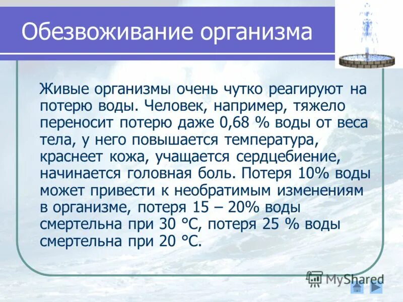 Запас воды в организме. Обезвоживание организма. Обездвиживание организма это. Симптомы при обезвоживании организма у взрослого человека. Потеря воды в организме человека.