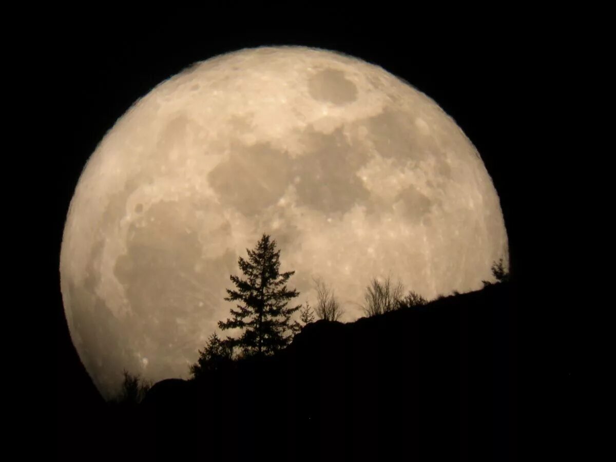 Луна. Огромная Луна. Фото Луны. Полная Луна.