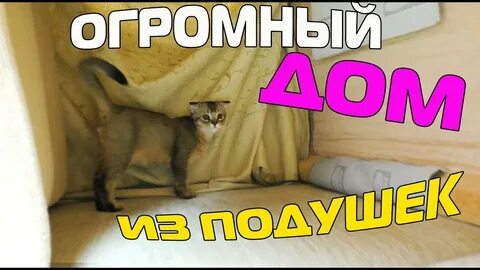 Ляпота тв дзен