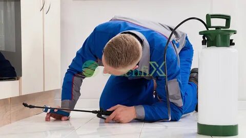 Обработка р