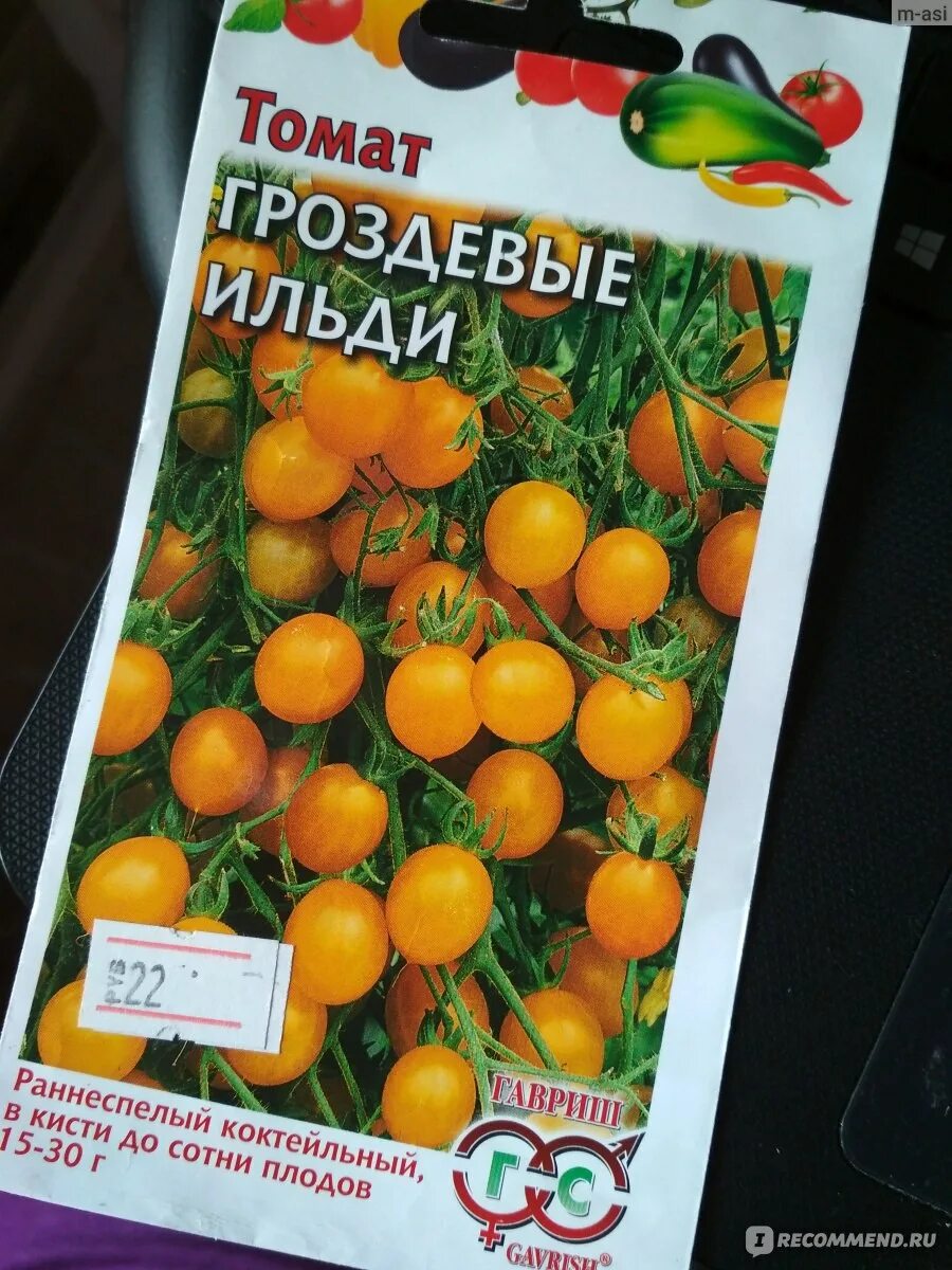 Томат ильди желтый. Томат ильди характеристика и описание. Томат ильди характеристика и описание. Томат черри ильди. Томаты черри гроздевые сорта.