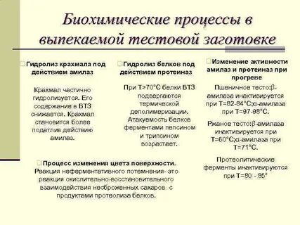 Процессы происходящие при выпечке хлеба