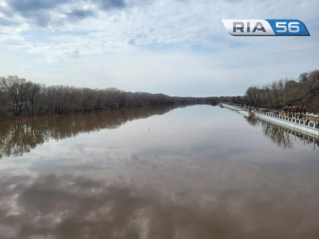 Разлив реки Сакмара Оренбург. Река. Река фото. Река Урал. Река урал в оренбурге уровень воды сегодня