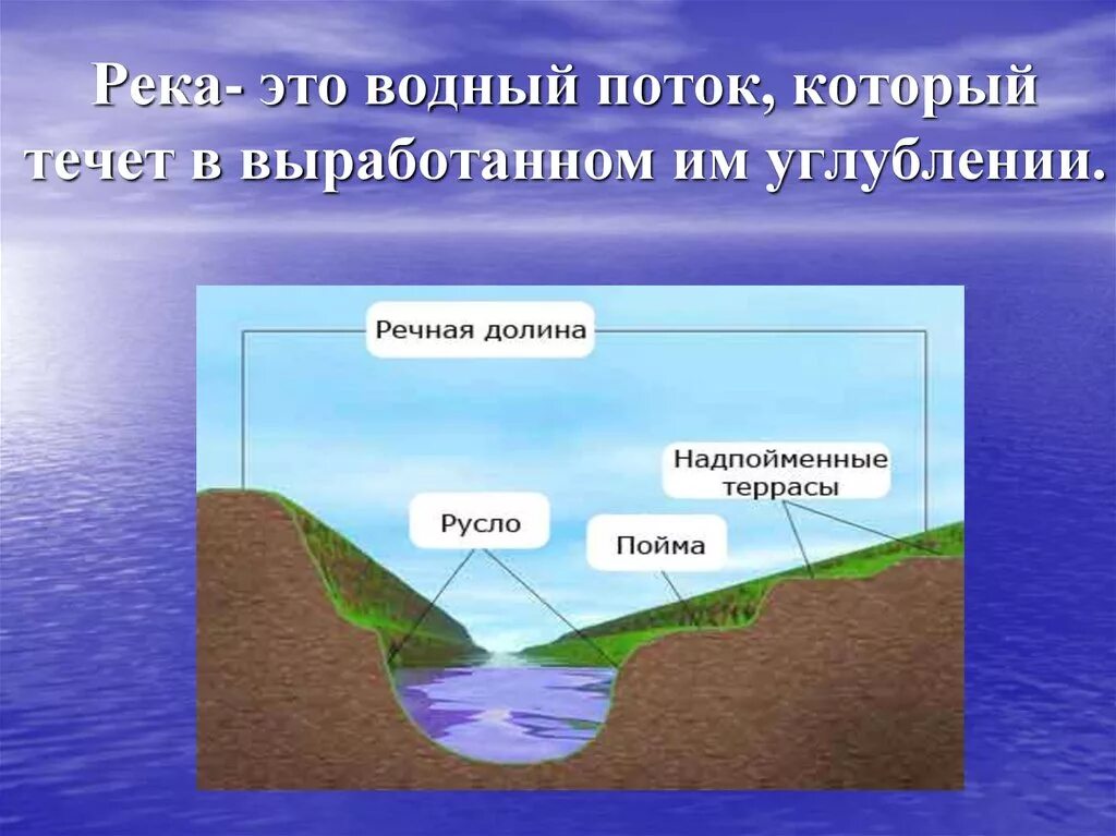 Дайте определение реки. Части реки. Части реки русло. Части реки Пойма. Речное русло.