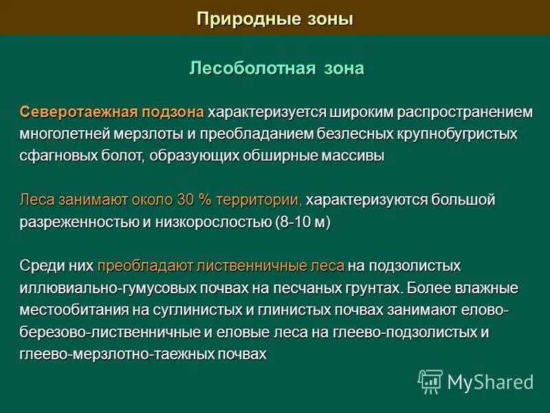 виды лесов беларуси. способны образовывать обширные леса характеризуются. белорусские леса. голосеменные растения мезозойской эры. градация лесов таежных.