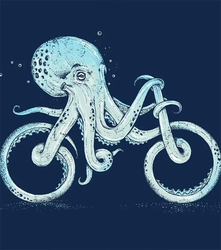 Octopus велосипеды. Осьминог на велосипеде. Осьминог арт. Осьминог рисунок. Вино осьминог на велосипеде на этикетке.