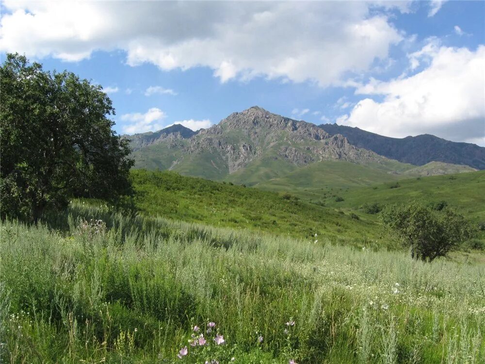 Природные особенности казахстана. Тарбагатай горы Казахстана. Гора Саур Тарбагатай. Тарбагатайский государственный природный заказник. Национальный природный парк «Тарбагатай».