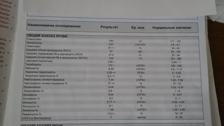 Что показывает кровь при беременности. Общий анализ крови у беременных. Опшианализ кровь по берем. ОАК при беременности норма. Клинический анализ крови беременной.