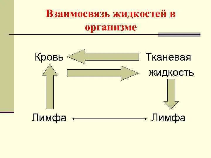 Схема показывающая взаимосвязь тканевой жидкости крови и лимфы. Взаимосвязь крови лимфы и тканевой жидкости. Кровь лимфа тканевая жидкость схема. Взаимосвязь крови и лимфы.