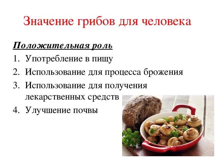 Многообразие и значение грибов 5 класс презентация. Значение грибов. Значение грибов с примерами. Значение грибов биология. Гигиеническое значение грибов.