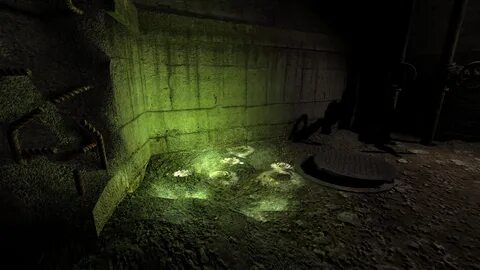 Солянка пропавшая группа ученых